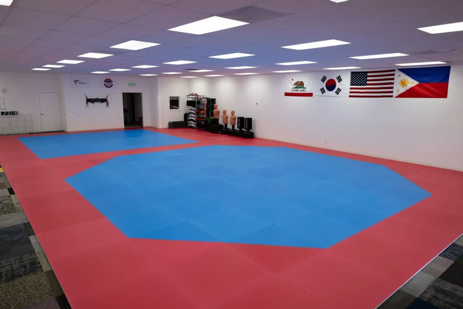 Welcome to New Game Taekwondo