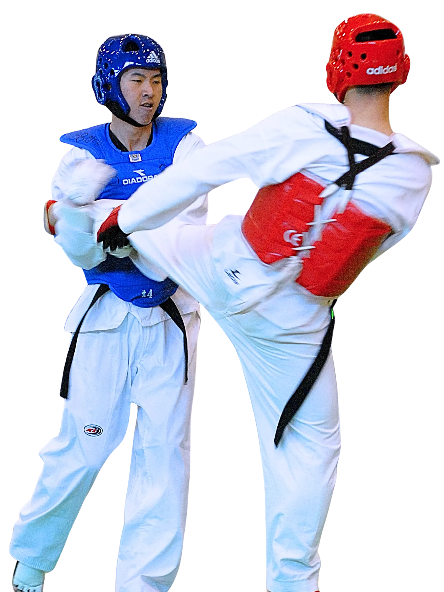 Adult Taekwondo (12+) class